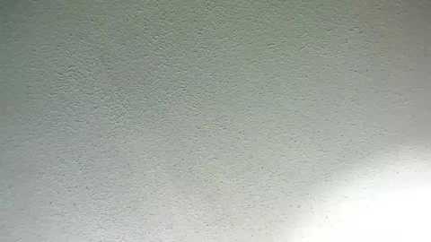 high3ndlowlife free recording from 2024-12-17 08:31:00