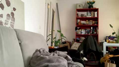 marinepussypussy free recording from 2024-12-17 09:15:00