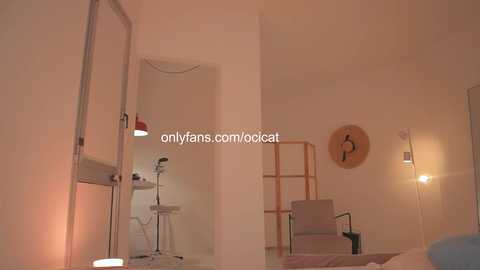 ocicat free recording from 2024-12-17 01:23:00
