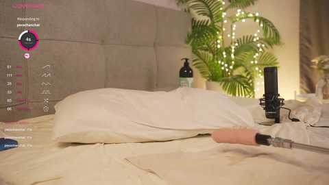 olsenspring free recording from 2024-12-17 19:06:00