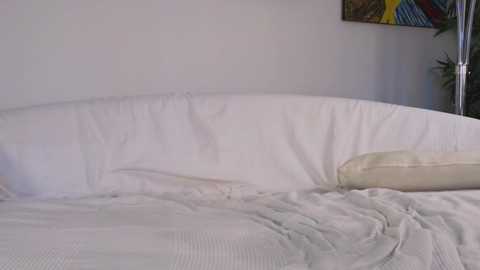 malenahot525 free recording from 2024-12-18 12:33:00