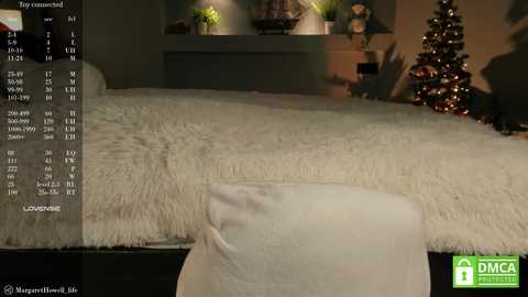 margarethowell free recording from 2024-12-20 14:13:00