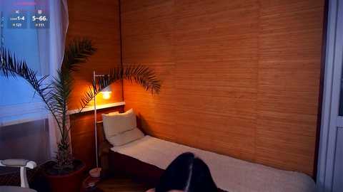 drutywerri free recording from 