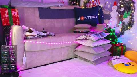 misss_viki free recording from 2024-12-22 15:49:00