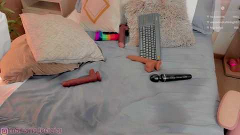 marianajeyss free recording from 2024-12-23 11:35:00