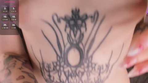 tasty_raspberry free recording from 2024-12-23 08:52:00