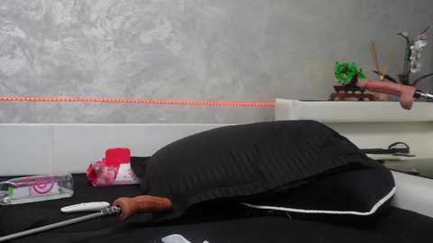 ashadevon_fit free recording from 2024-12-25 03:20:00