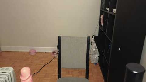 alexa_dream free recording from 2024-12-26 03:44:00