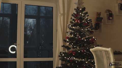 neferpita free recording from 