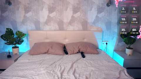 ylindencea free recording from 