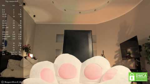 margarethowell free recording from 2024-12-27 11:34:00