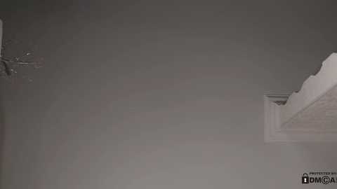 neferpita free recording from 