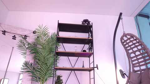 goth_dolll free recording from 2024-12-29 21:35:00