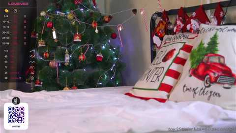 oki_dokie free recording from 2024-12-29 04:00:00