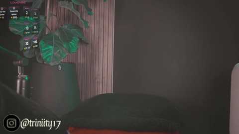 abril__colen free recording from 2024-12-30 07:41:00