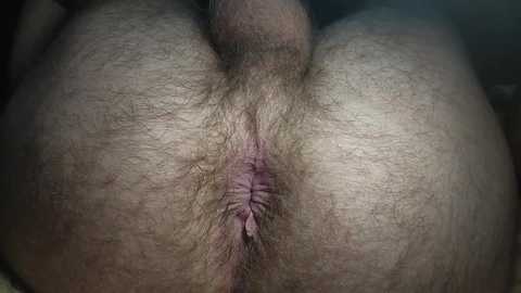 mikea198022 free recording from 2024-12-31 06:30:00