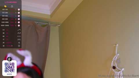 oki_dokie free recording from 2024-12-31 09:57:00