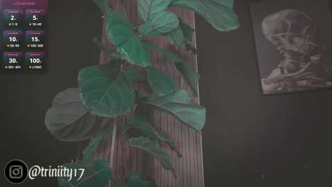 abril__colen free recording from 2025-01-01 06:10:00