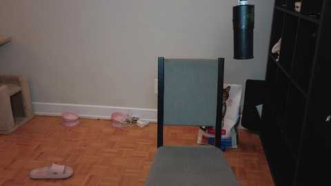 alexa_dream free recording from 2025-01-03 02:30:00