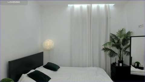 lilly_colins free recording from 2025-01-03 17:32:00