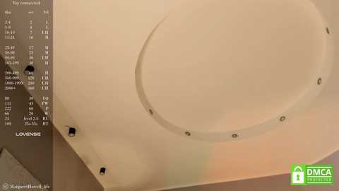 margarethowell free recording from 2025-01-05 14:43:00