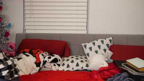 ramichick free recording from 2025-01-05 12:11:00