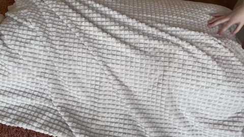 phqqipi free recording from 2025-01-06 12:01:00