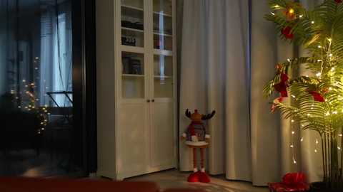 seeunexttime free recording from 