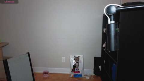 alexa_dream free recording from 2025-01-11 04:24:00