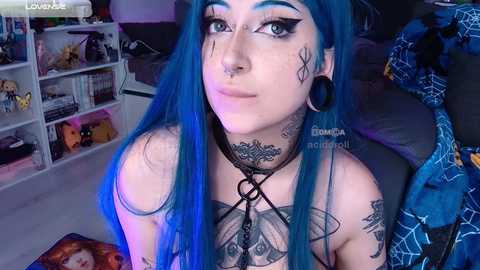 aciddroll free recording from 2025-01-13 04:20:00