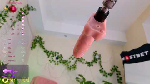 breeding_material free recording from 2025-01-13 18:54:00