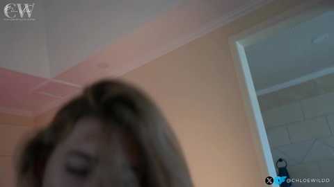 chloewildd free recording from 2025-01-13 18:53:00