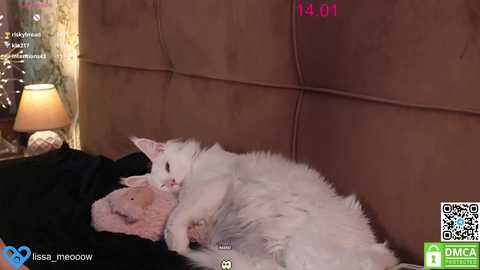 lissa_meooow free recording from 