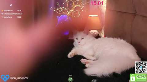 lissa_meooow free recording from 