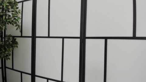 fetish_life free recording from 2025-01-17 18:00:00