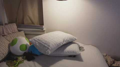 taylor_love_303 free recording from 2025-01-18 13:58:00