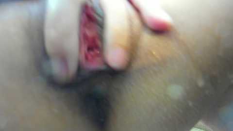 ehotlovea free recording from 2025-01-20 04:29:00