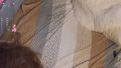 peek_in_my_window free recording from 2025-01-21 20:46:00