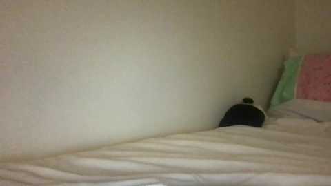 dream1girl_ free recording from 