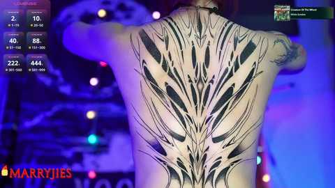 nelle_ free recording from 2025-01-22 14:13:00