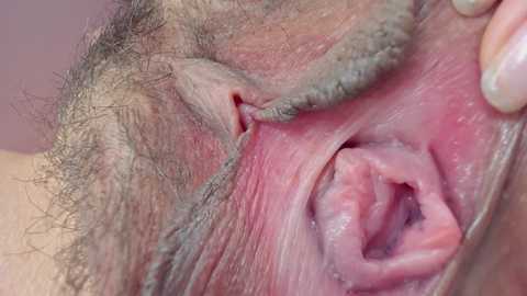 ms_pickless free recording from 2025-01-23 20:47:00