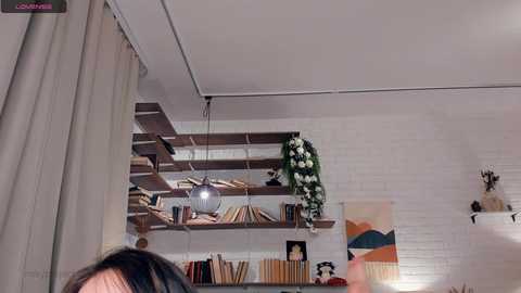 riskyproject free recording from 2025-01-23 15:19:00