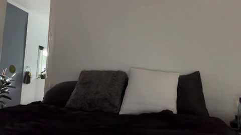 roseofficial free recording from 