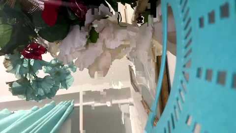 assndimples free recording from 2025-01-24 19:37:00