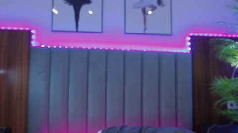 kirsten_xxx free recording from 2025-01-24 02:14:00