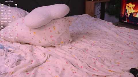 pinkncrazy free recording from 2025-01-24 04:09:00