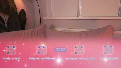 toxl free recording from 2025-01-24 13:20:00