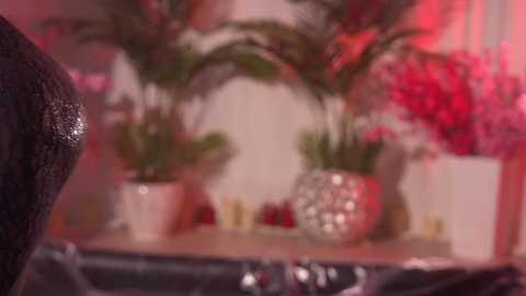 kittycaitlin free recording from 2025-01-25 02:42:00