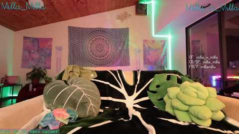 milla_milla free recording from 2025-01-25 03:52:00