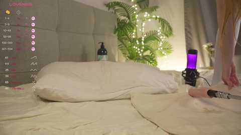 olsenspring free recording from 2025-01-26 20:06:00